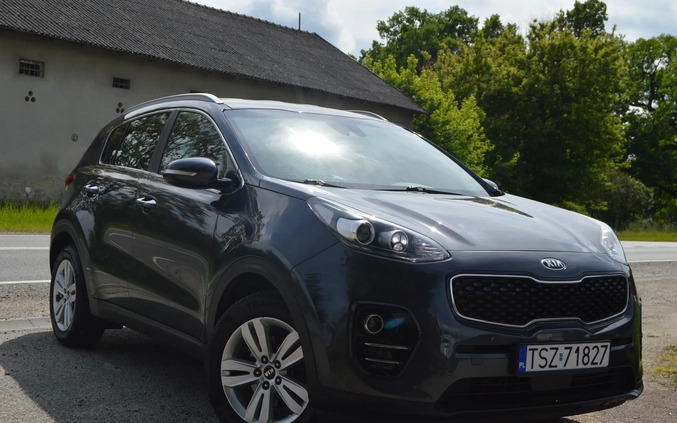 Kia Sportage cena 63900 przebieg: 173000, rok produkcji 2016 z Olsztynek małe 631